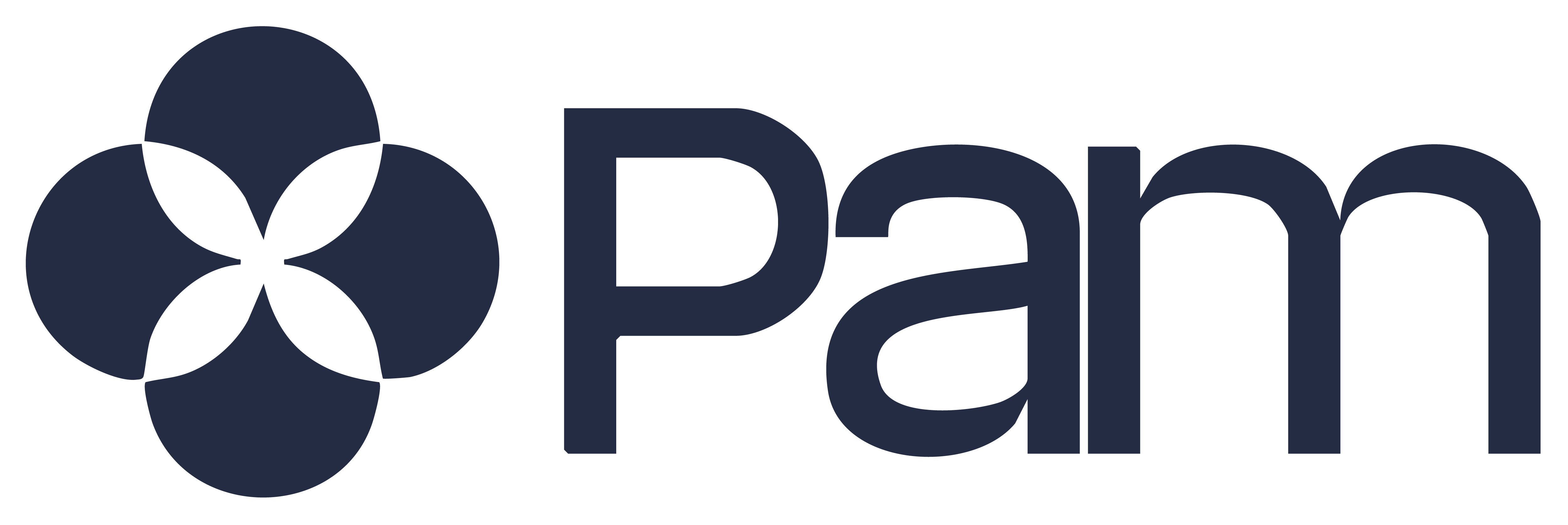 pam_logo Illustration, representing new Inspection and RO Management